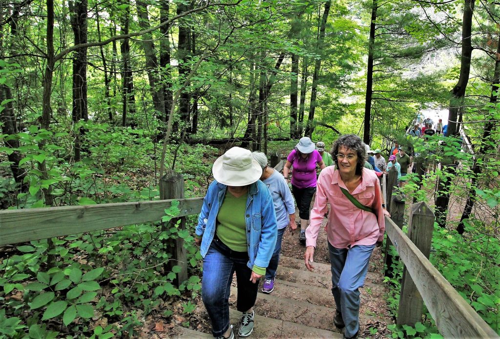 49265277736_1afa077b7b_o