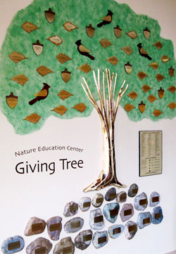 Giving Tree Photo
