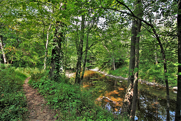 A view of the Macatawa River at Adams Street Landing