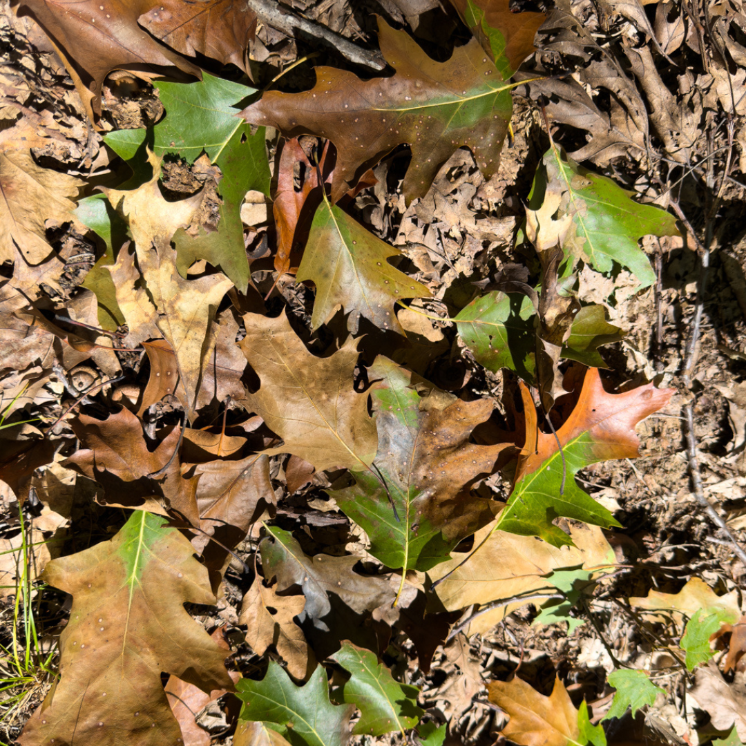 Nature Center in Winter