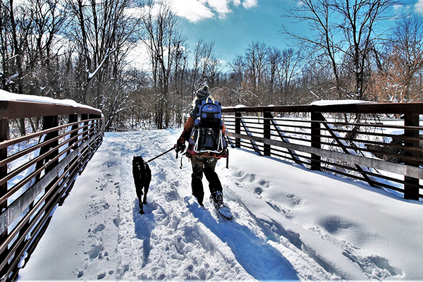 A woman in snowshoes leads her dog across a snow-covered bridge on a sunny winter day.